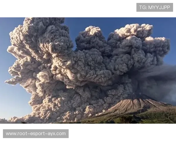 巴西所处小组可能出现剧烈波动，外界预测摇摆明显