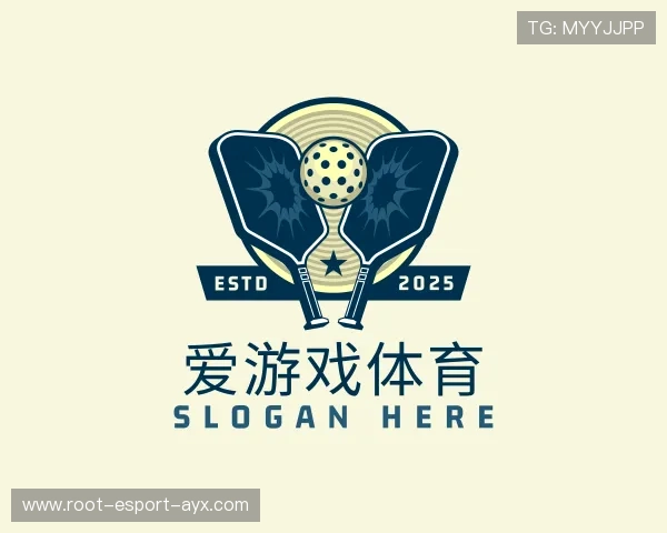 介绍爱游戏体育