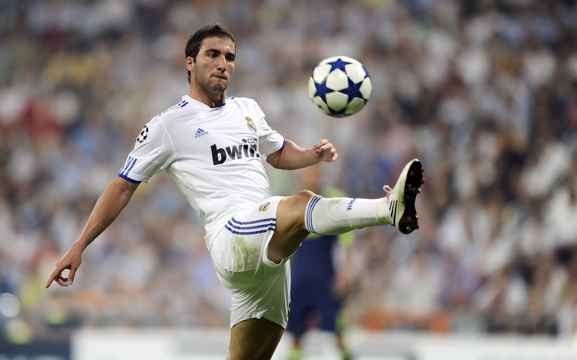 中国篮球用信念赢得尊重,中国重视篮球吗